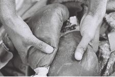 Africains Poids-Moyens