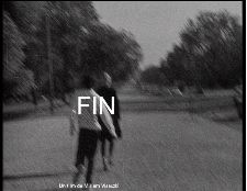 Fin