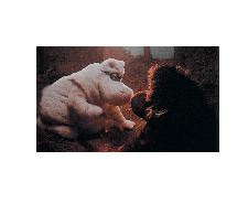 Jour où le soleil s'est éteint