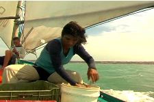 Uma Pescadora Rara no Litoral do Ceará