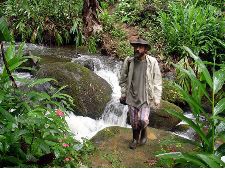 Documentário Sobre Chico Abelha