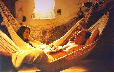 Quando um burro fala...