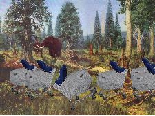 Majesty of the Wetlands