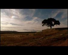 Andalusia: immagini di un paesaggio