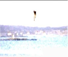 Scen nr: 6882 ur mitt liv