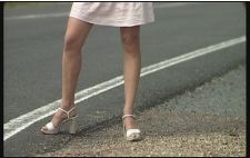 Nous n'irons plus au bois