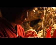 Fragments extérieurs