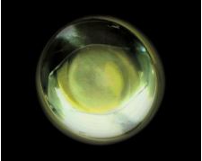 Laboratoire des fluides