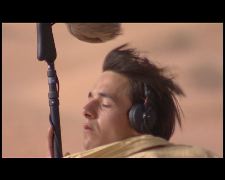 Dans le ventre de la baleine