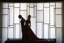 Shadow Pleasures: Tropical Rumours