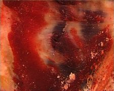 Regarde les vaches danser