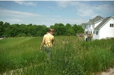 An unusually hot summer