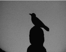 I must not put strangeness where there is nothing