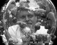 Interni sdeleni ve veci