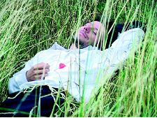 Inconstances du papillon