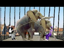 Größte Liebe des letzten Jahrhunderts