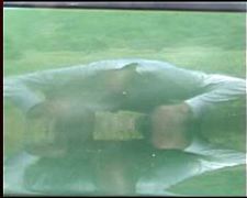 DD dans sa voiture verte