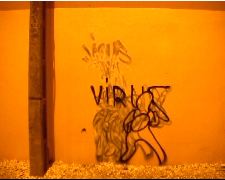 Virus
