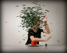 Une oreille remplie de plumes