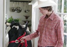 Cowboy:  A Love Story