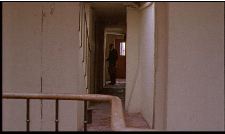 Roucoulements sourds et inquiets