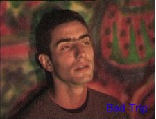 Bad Trip