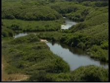 Entre deux eaux,  le courant d'Huchet