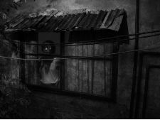 How does the Blind dream