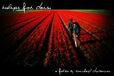 Tulips for Daisy