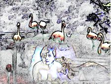 Passage Through the Garden of Eden