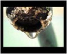 Bonheur est en promo