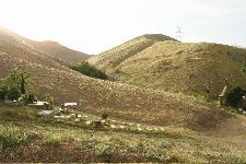 Zende be Nerkhe Koshtargah