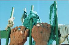 A Hand has been born