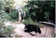 Visiting Hermit's Hermitage