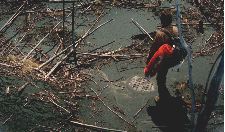 Waiting to Catch a Bullet