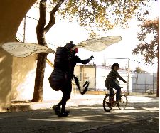 Max and the Furious Fly