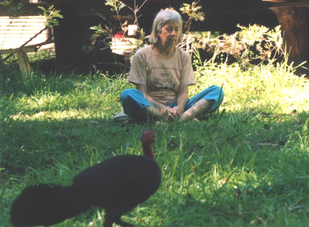 Chant of the Scrub Turkey