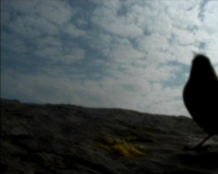 Il faut être de bonne humeur pour rigoler avec Cioran