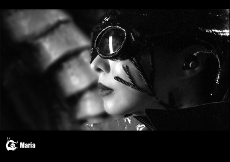 9 minutes before a cricket´s death