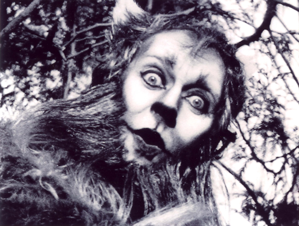 Little Red Riding Hood