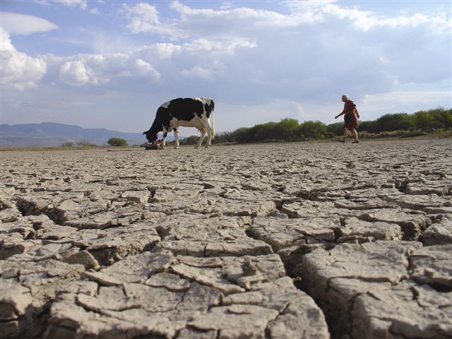 Leche y el agua