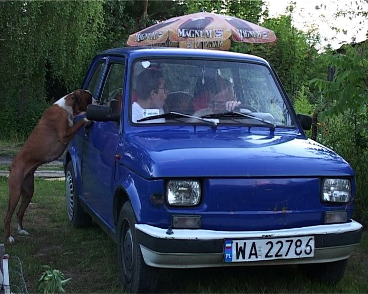 Na dzialce