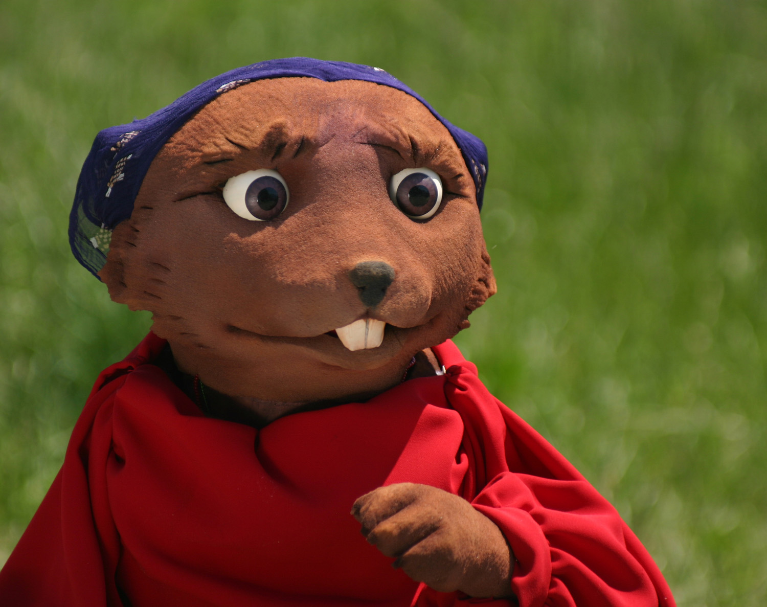 Aventures de Marmotta