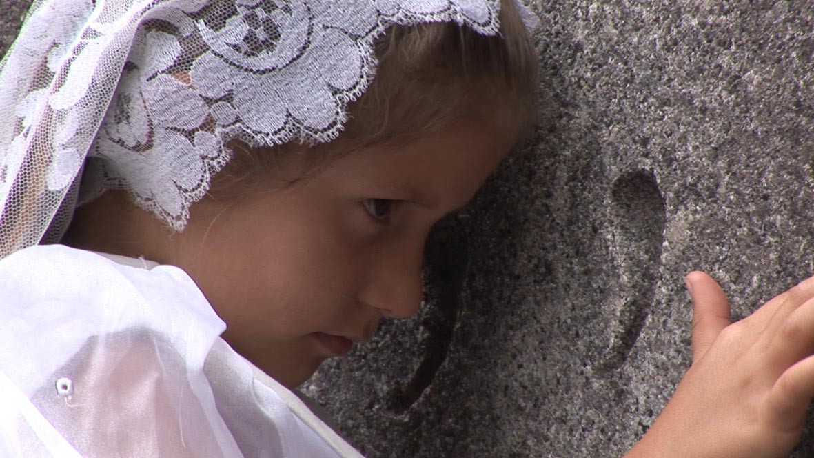 Explication des salamandres