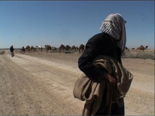 Irak, le chant des absents