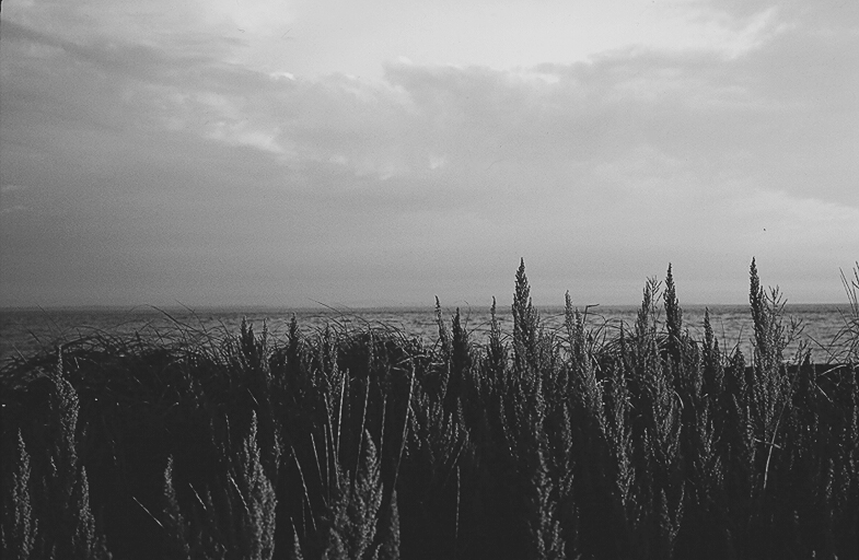 While We Are Not Here