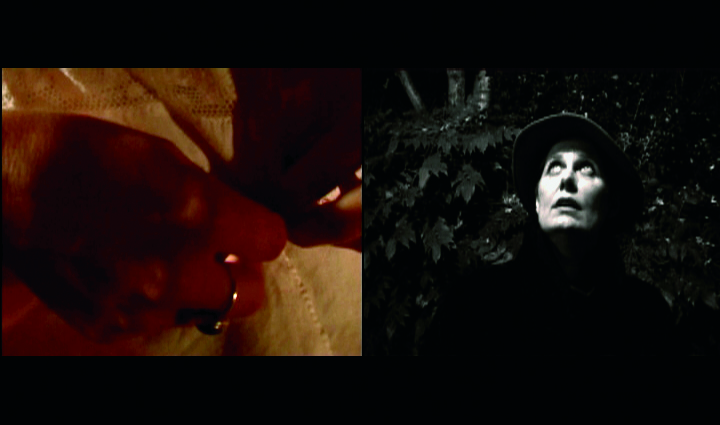 Champs de la vie - Opus 1