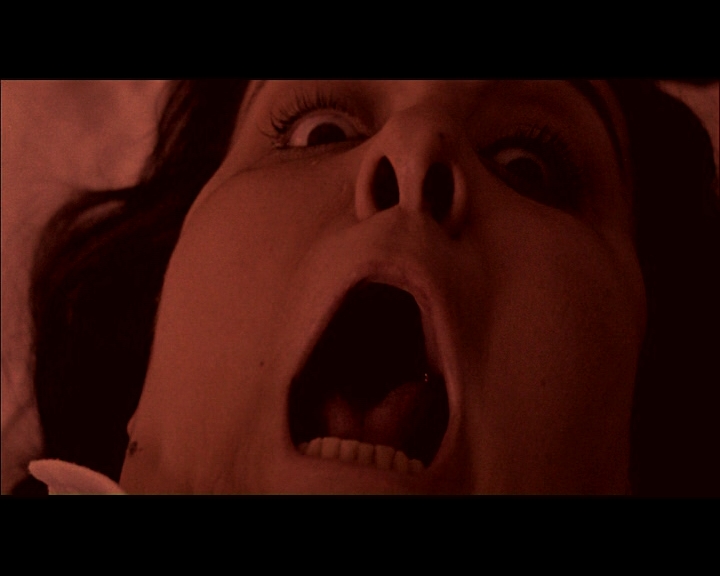 Notte della Lasagna Vivente