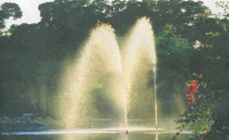 Un paradis au belevédère