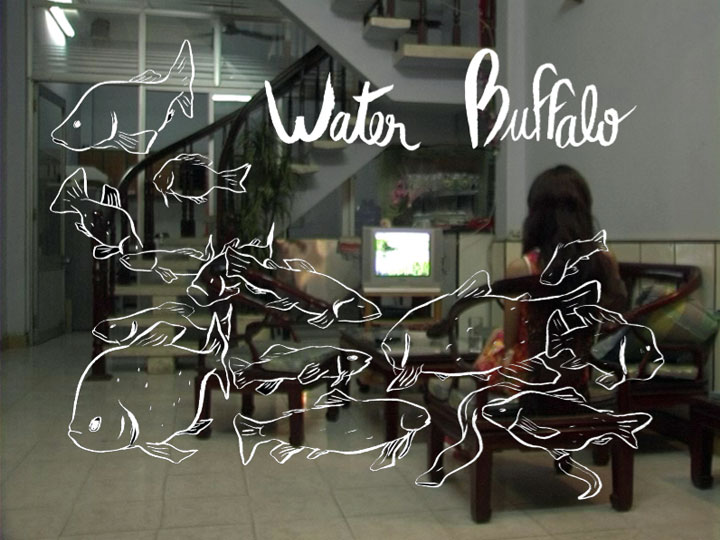 Water Buffalo